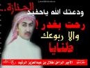 الصورة الرمزية الثامر